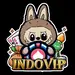 Service Provider
