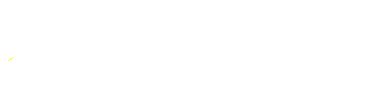 Service Provider
