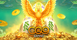 cq9