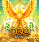 cq9