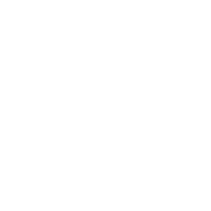 Aviatrix 