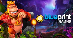bpg_qtech