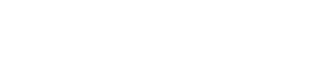 SBO